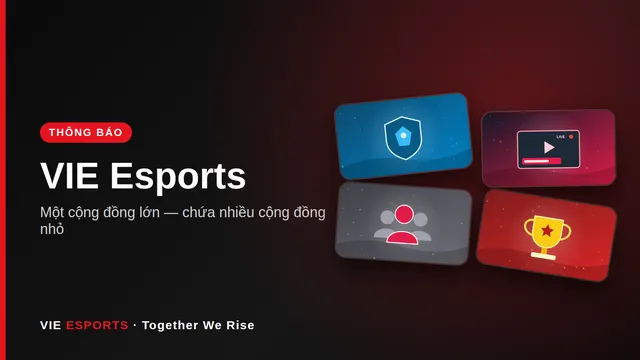 VIE Esports - ngôi nhà chung của clan, streamer, idol và fanclub